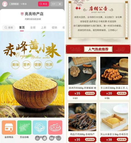 開拓農產品上行新渠道 手把手幫助農民開網店