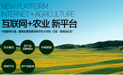 1700億 農(nóng)村電商市場(chǎng)很大