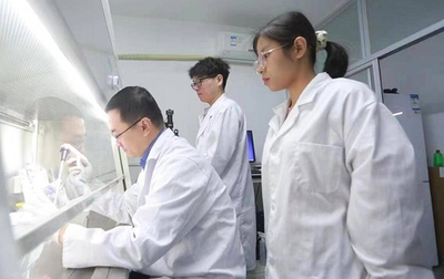 岱岳區(qū)實施“百名博士任科技副總”工程，構(gòu)建校企合作橋梁推動生物技術(shù)研發(fā)