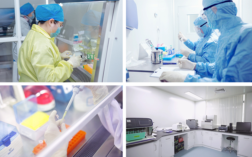 江蘇默金生物工程技術(shù) 創(chuàng)新驅(qū)動，引領(lǐng)生物技術(shù)研發(fā)前沿